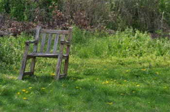 Garten Anlegen Teil 2 Der Bestandsplan Gartner Potschke