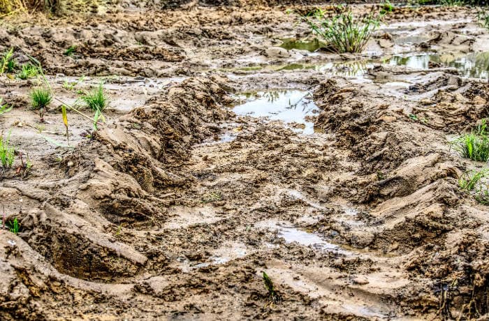 Garten Boden Erkennen Und Verbessern Gartner Potschke