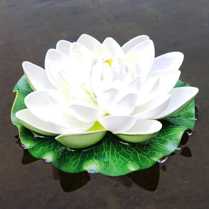 Deko-Seerose Lotus