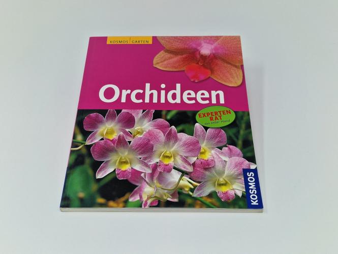 Orchideen Gestalten