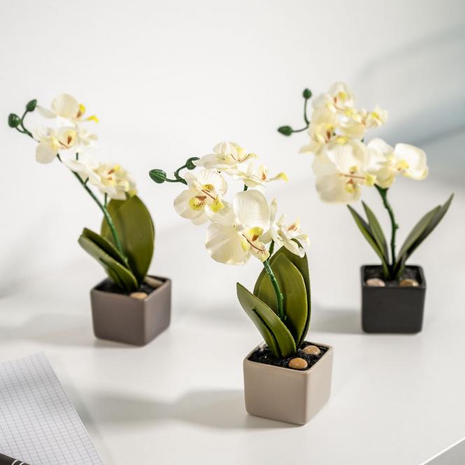 Kunstpflanze Orchideen im Keramiktopf