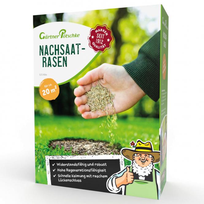 Nachsaat-Rasen