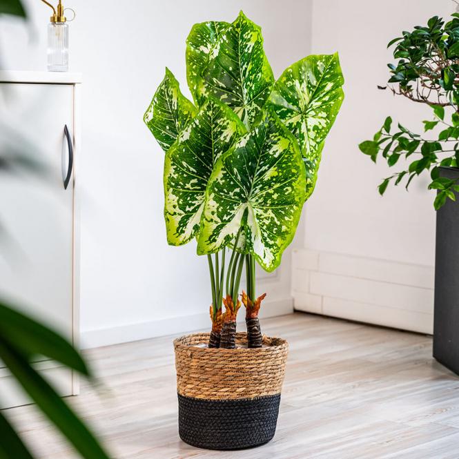 Kunstpflanze Philodendron
