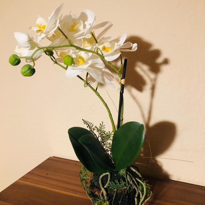 Kunstpflanze Orchidee Duo im Erdballen