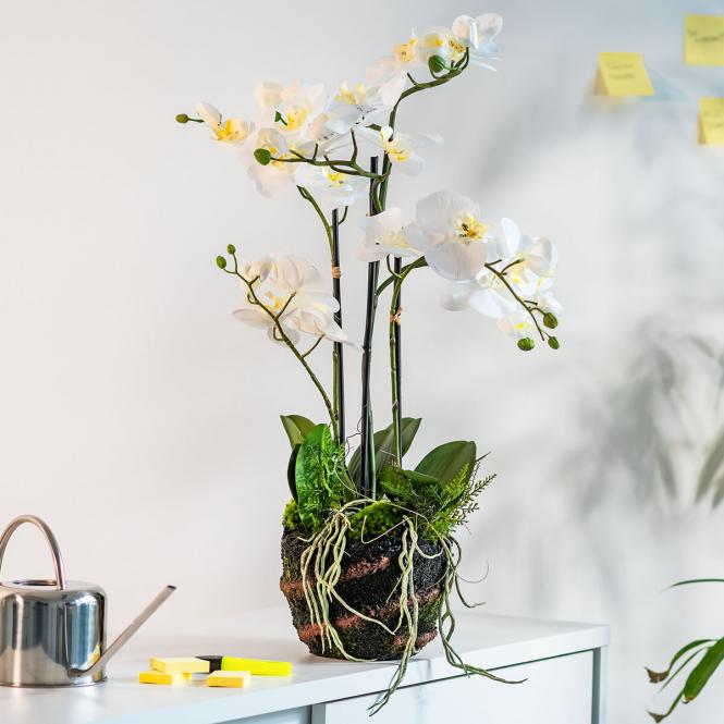 Kunstpflanze Orchidee im Erdballen mit Farn