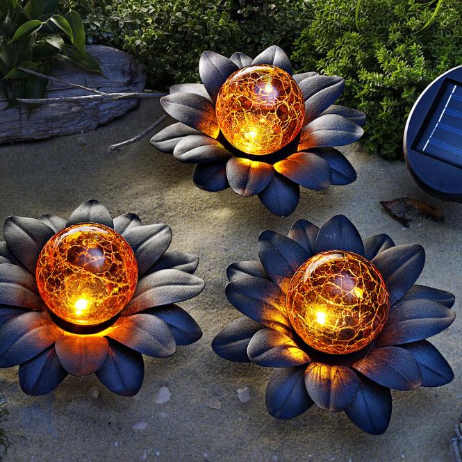 Solar-Blüten