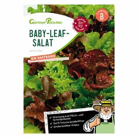 Saatband 6 m Baby-Leaf-Salat 