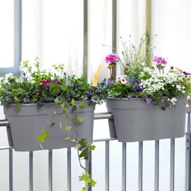Balkonkästen online kaufen bei Pötschke Gärtner