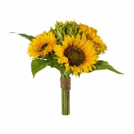 Sonnenblume kaufen bei Gärtner Pötschke