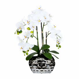 Kunstpflanze Phalaenopsis in Keramikvase, 55 cm, weiss 