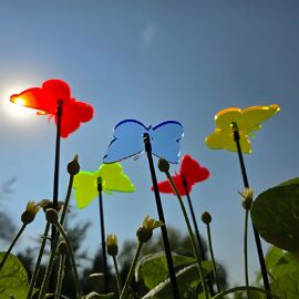 Sonnenfänger Schmetterling, bunt, 5er Set 