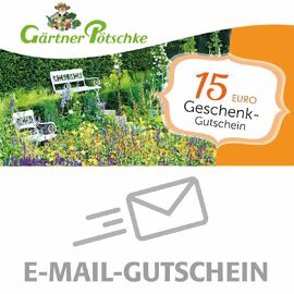 15,- Euro Online-Geschenkgutschein 