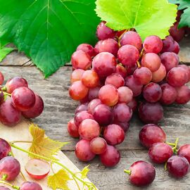Weinrebe Suffolk Red online kaufen bei Gärtner Pötschke