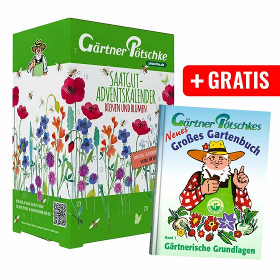 Saatgut-Adventskalender Bienen und Blumen + Gratis Gartenbuch, Band 1