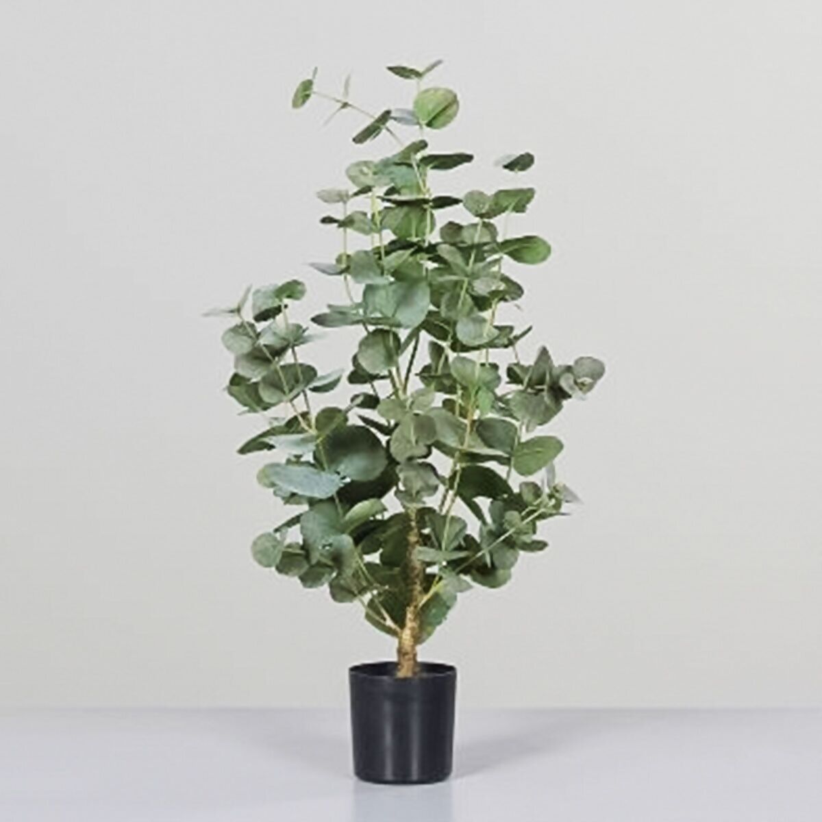 Kunstpflanze bei schwarzem in cm 70 Gärtner Kunststofftopf, kaufen online Pötschke Eukalyptus