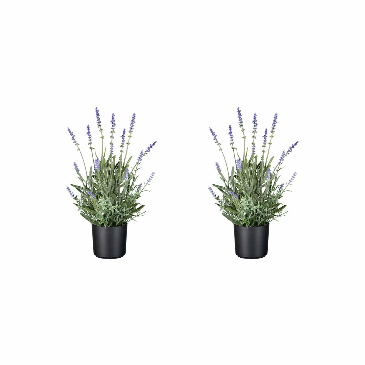 bei Kunstpflanze 40 Pötschke cm online kaufen 2er-Set, Lavendel, Gärtner