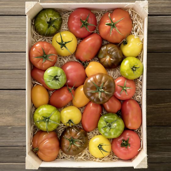 Mhd Saatgut Holzbox Tomaten Bio Saatgut Sorten Online Kaufen Bei