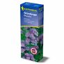 Bodenkur Phacelia, 400 g | #2