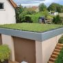 Dachbegrünung für kleine Flächen bis 6 m² | #2