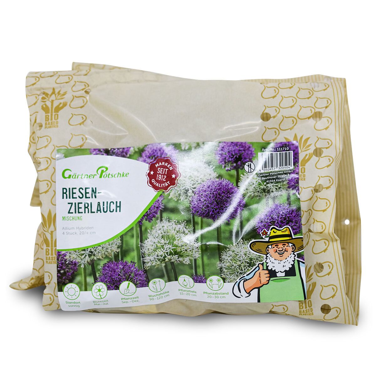 Gärtner Riesenzierlauch online Pötschke Blumenzwiebel-Set bei kaufen