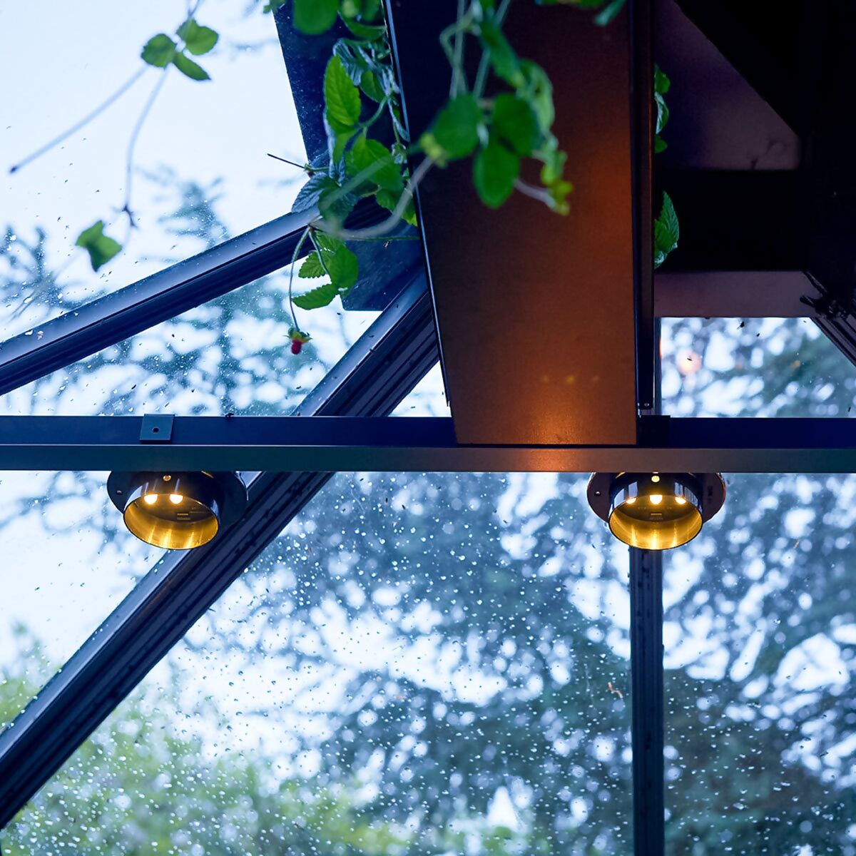 LED-Lampe für Gewächshäuser online kaufen bei Gärtner Pötschke