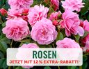 + (1) Rosen + - 4