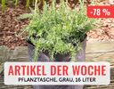 + (4) Artikel der Woche + - 4