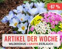 + (4) Artikel der Woche + - 4