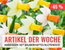 + (4) Artikel der Woche + - 4