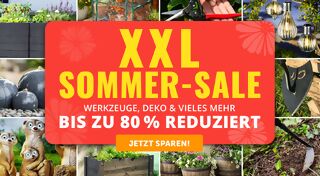 +++ (1) Sommer-Sale +++ - 3