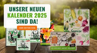 +++ (3) Kalender +++  - 3