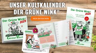 +++ (3) Der Grüne Wink +++ - 3